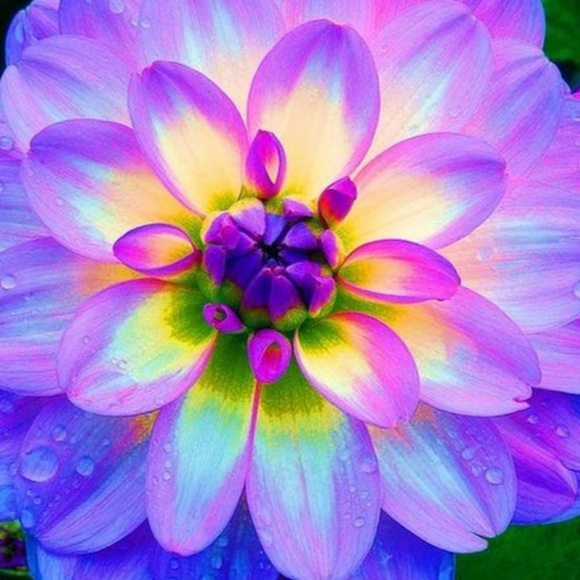 Meet your Posher, Briana - Picture 1 of 1